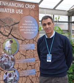 Dr. Ammar Wahbi